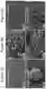 Fig. 06 - Methods of culturing t cells and uses of same