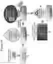 Fig. 10 - Methods of culturing t cells and uses of same