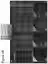 Fig. 11 - Methods of culturing t cells and uses of same