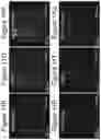 Fig. 25 - Methods of culturing t cells and uses of same