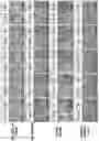 Fig. 28 - Methods of culturing t cells and uses of same