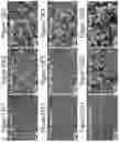Fig. 29 - Methods of culturing t cells and uses of same
