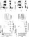 Fig. 30 - Methods of culturing t cells and uses of same
