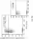 Fig. 30 - End-to-end cell therapy automation