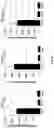 Fig. 12 - Genetically modified genes and cells, and methods of using same for silencing virus gene expression