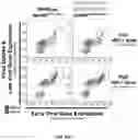 Fig. 19 - Genetically modified genes and cells, and methods of using same for silencing virus gene expression