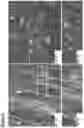Fig. 03 - Neuromuscular junction