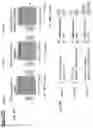 Fig. 11 - Neuromuscular junction