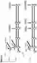 Fig. 14 - Neuromuscular junction