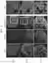 Fig. 04 - In vitro fibrosis model, preparing method therefor, and use thereof
