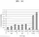 Fig. 12 - In vitro fibrosis model, preparing method therefor, and use thereof