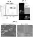 Fig. 07 - Methods for generation of pluripotent and multipotent cells