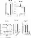 Fig. 12 - Methods for generation of pluripotent and multipotent cells