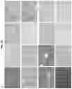 Fig. 22 - Methods for generation of pluripotent and multipotent cells
