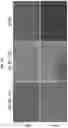 Fig. 24 - Methods for generation of pluripotent and multipotent cells