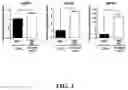 Fig. 05 - Method of preparing mimicking angiogenic co-spheroids and application thereof