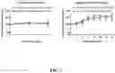 Fig. 10 - Method of preparing mimicking angiogenic co-spheroids and application thereof
