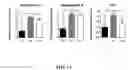 Fig. 17 - Method of preparing mimicking angiogenic co-spheroids and application thereof