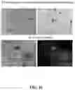 Fig. 20 - Method of preparing mimicking angiogenic co-spheroids and application thereof