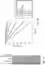 Fig. 02 - Recombinant uricase enzyme