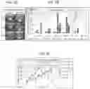 Fig. 06 - Use of enzymes with a wide pH activity range as medicaments for promoting digestion