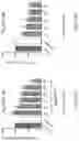 Fig. 04 - Method and pharmaceutical composition for treating cancer