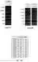 Fig. 20 - Compositions of asymmetric interfering RNA and uses thereof