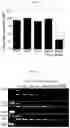 Fig. 09 - Therapeutic agent for treating cancer comprising anti-miRNA-albumin composite