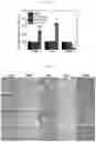 Fig. 14 - Therapeutic agent for treating cancer comprising anti-miRNA-albumin composite