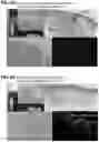 Fig. 08 - COMPOSITION AND METHOD OF USING MIR-302 PRECURSORS AS DRUGS FOR TREATING ALZHEIMER'S DISEASES