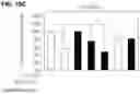 Fig. 20 - COMPOSITION AND METHOD OF USING MIR-302 PRECURSORS AS DRUGS FOR TREATING ALZHEIMER'S DISEASES