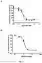 Fig. 15 - Method of modulating the number and the distribution of tumor-infiltrating leukocytes in tumors