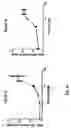 Fig. 20 - Method of modulating the number and the distribution of tumor-infiltrating leukocytes in tumors
