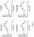 Fig. 22 - Method of modulating the number and the distribution of tumor-infiltrating leukocytes in tumors