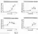 Fig. 25 - Method of modulating the number and the distribution of tumor-infiltrating leukocytes in tumors