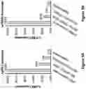 Fig. 10 - Engineered immunostimulatory bacterial strains and uses thereof