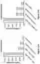 Fig. 12 - Engineered immunostimulatory bacterial strains and uses thereof
