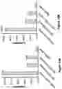 Fig. 19 - Engineered immunostimulatory bacterial strains and uses thereof
