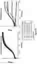 Fig. 42 - Engineered immunostimulatory bacterial strains and uses thereof