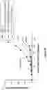 Fig. 47 - Engineered immunostimulatory bacterial strains and uses thereof