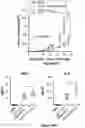 Fig. 50 - Engineered immunostimulatory bacterial strains and uses thereof