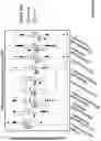 Fig. 53 - Engineered immunostimulatory bacterial strains and uses thereof