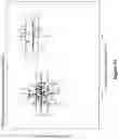 Fig. 55 - Engineered immunostimulatory bacterial strains and uses thereof