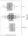 Fig. 57 - Engineered immunostimulatory bacterial strains and uses thereof