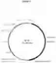 Fig. 14 - Organic acid synthesis from C1 substrates