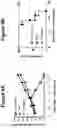 Fig. 12 - Chimeric antigen receptors targeting B-cell maturation antigen