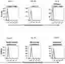 Fig. 04 - Chimeric antigen receptors targeting B-cell maturation antigen