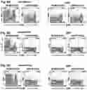 Fig. 09 - Chimeric antigen receptors targeting B-cell maturation antigen