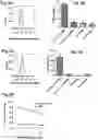 Fig. 11 - Chimeric antigen receptors targeting B-cell maturation antigen