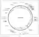 Fig. 05 - SYSTEM AND METHODS FOR THE BIOCONTROL OF PLANT PATHOGENS